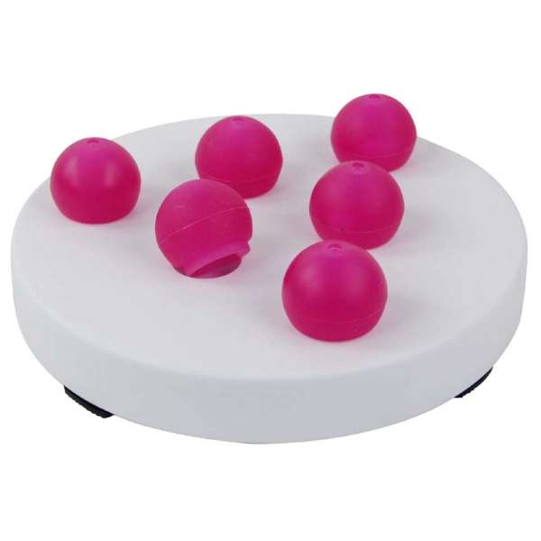 All for Paws Modern Cat Intelligezspielzeug-Intelligenz-Spielzeug-Fresspack.de