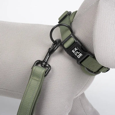 Duvoplus EXPLOR Ultimate Fit Control Halsband Classic - undercover green - M - 39-44cm-Nylonhalsbänder-Fresspack.de