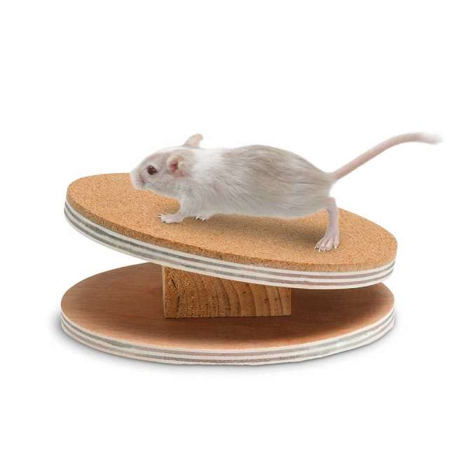 Karlie Flamingo Bogie Disc Laufscheibe mit Korkbeschichtung - 16 cm-Laufräder-Fresspack.de