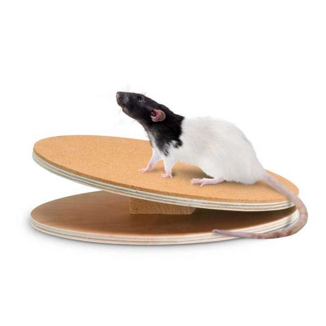 Karlie Flamingo Bogie Disc Laufscheibe mit Korkbeschichtung - 30 cm-Laufräder-Fresspack.de