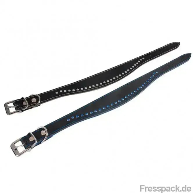 Karlie Halsband Chic - Schwarz/Blau - 50 cm / 40 mm-Lederhalsbänder-Fresspack.de