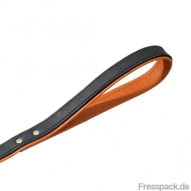 Karlie Rodeo Leine genietet, 16mm 100cm - schwarz/cognac-Lederleinen-Fresspack.de
