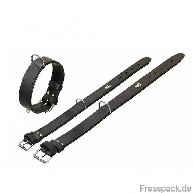 Karlie Rondo Halsband mit Ring für Adresstube - Schwarz - 65cm/40mm-Lederhalsbänder-Fresspack.de
