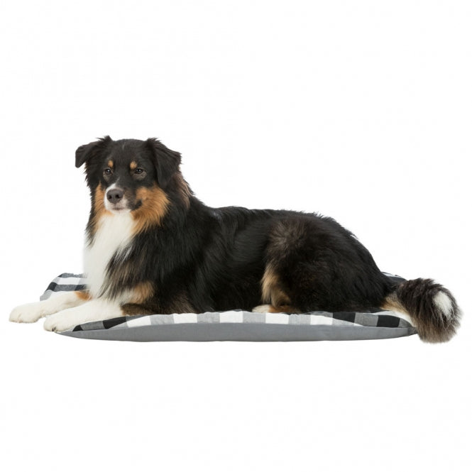 Trixie Kissen Scoopy - kariert - 44 x 31 cm-Hundebetten & Hundekissen-Fresspack.de
