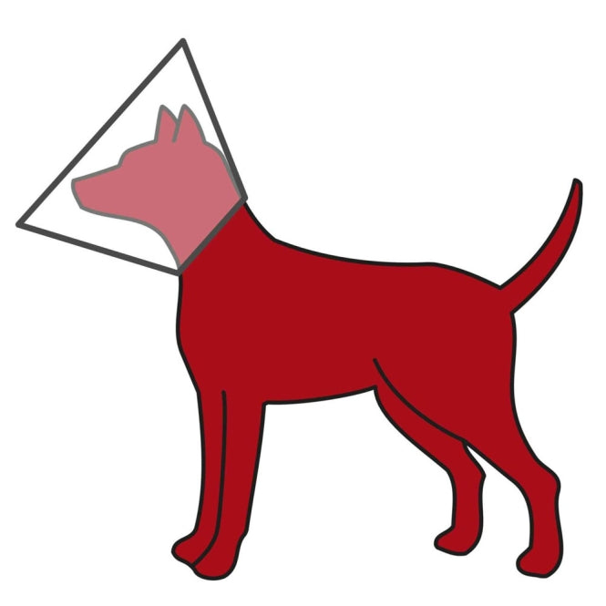 Trixie Schutzkragen mit Klettverschluss - 20?26 cm/11 cm-Hunde-Apotheke-Fresspack.de