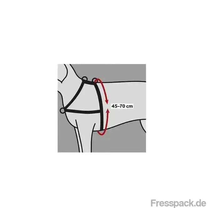 Trixie Trainingsgeschirr Lead'n'Walk Soft - S-M-Erziehungs - Hilfen-Fresspack.de