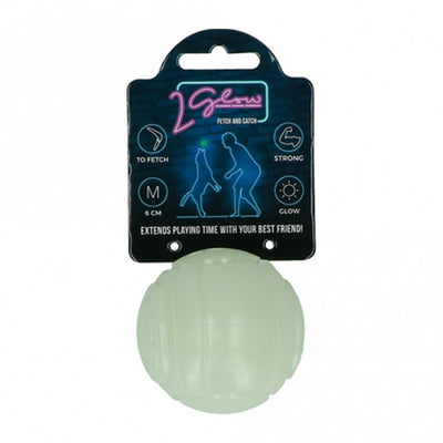 2Glow Fetch and catch 2 match- Leuchtball-Leuchtspielzeug-Fresspack.de