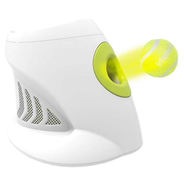 All for Paws Hyper Fetch Ballwurfmaschine-Hundewurfspielzeug-Fresspack.de