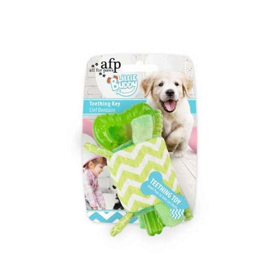 All for Paws Little Buddy - Teething Key Grün-Puppy-Spielzeug-Fresspack.de