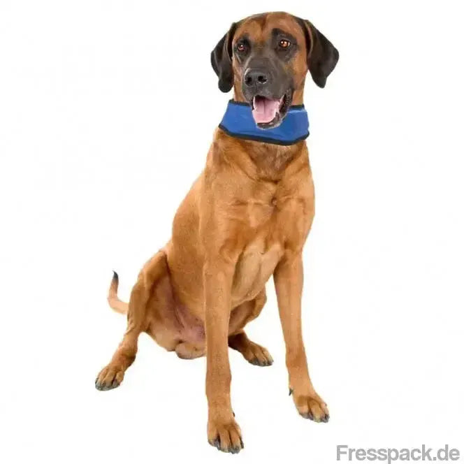 Karlie Flamingo Kühlbandana Fresk - L (45 - 65 cm)-Weitere Halsbänder-Fresspack.de