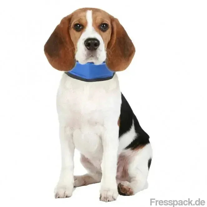 Karlie Flamingo Kühlbandana Fresk - S (15 - 25 cm)-Weitere Halsbänder-Fresspack.de