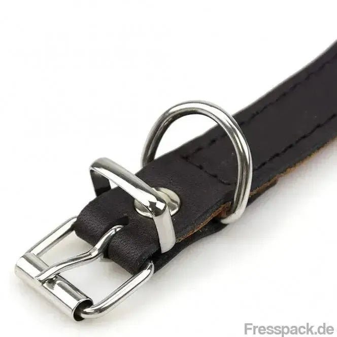 Karlie Rondo Windhund-Halsband - Schwarz - 50cm/60mm-Lederhalsbänder-Fresspack.de