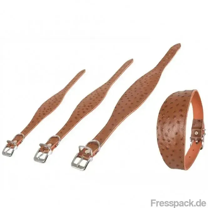 Karlie Windhund-Halsband Ventus - 50cm / Braun-Lederhalsbänder-Fresspack.de