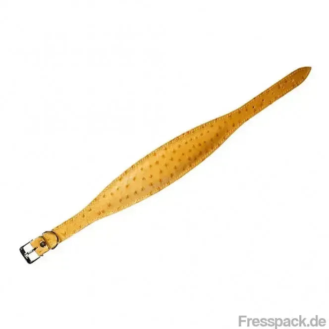 Karlie Windhund-Halsband Ventus - 55cm / Gelb-Lederhalsbänder-Fresspack.de
