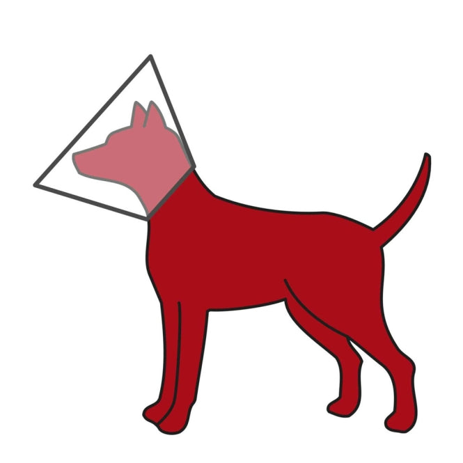 Trixie Schutzkragen aus Kunststoff - S-M: ø 31-38 cm/15 cm-Mehr Pflegeprodukte-Fresspack.de