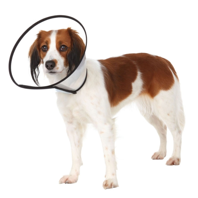 Trixie Schutzkragen mit Klettverschluss - 18?23 cm/8 cm-Hunde-Apotheke-Fresspack.de