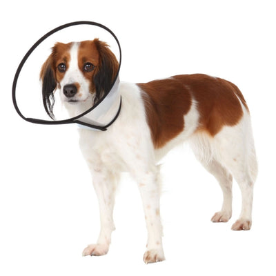 Trixie Schutzkragen mit Klettverschluss - 20?26 cm/11 cm-Hunde-Apotheke-Fresspack.de