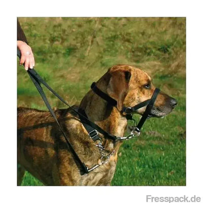 Trixie Top Trainer Ausbildungsgeschirr - max. 27 cm-Erziehungs - Hilfen-Fresspack.de
