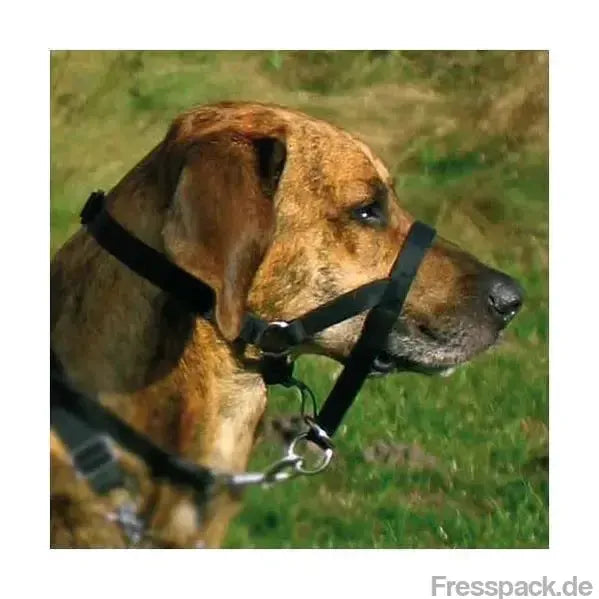 Trixie Top Trainer Ausbildungsgeschirr - max. 27 cm-Erziehungs - Hilfen-Fresspack.de